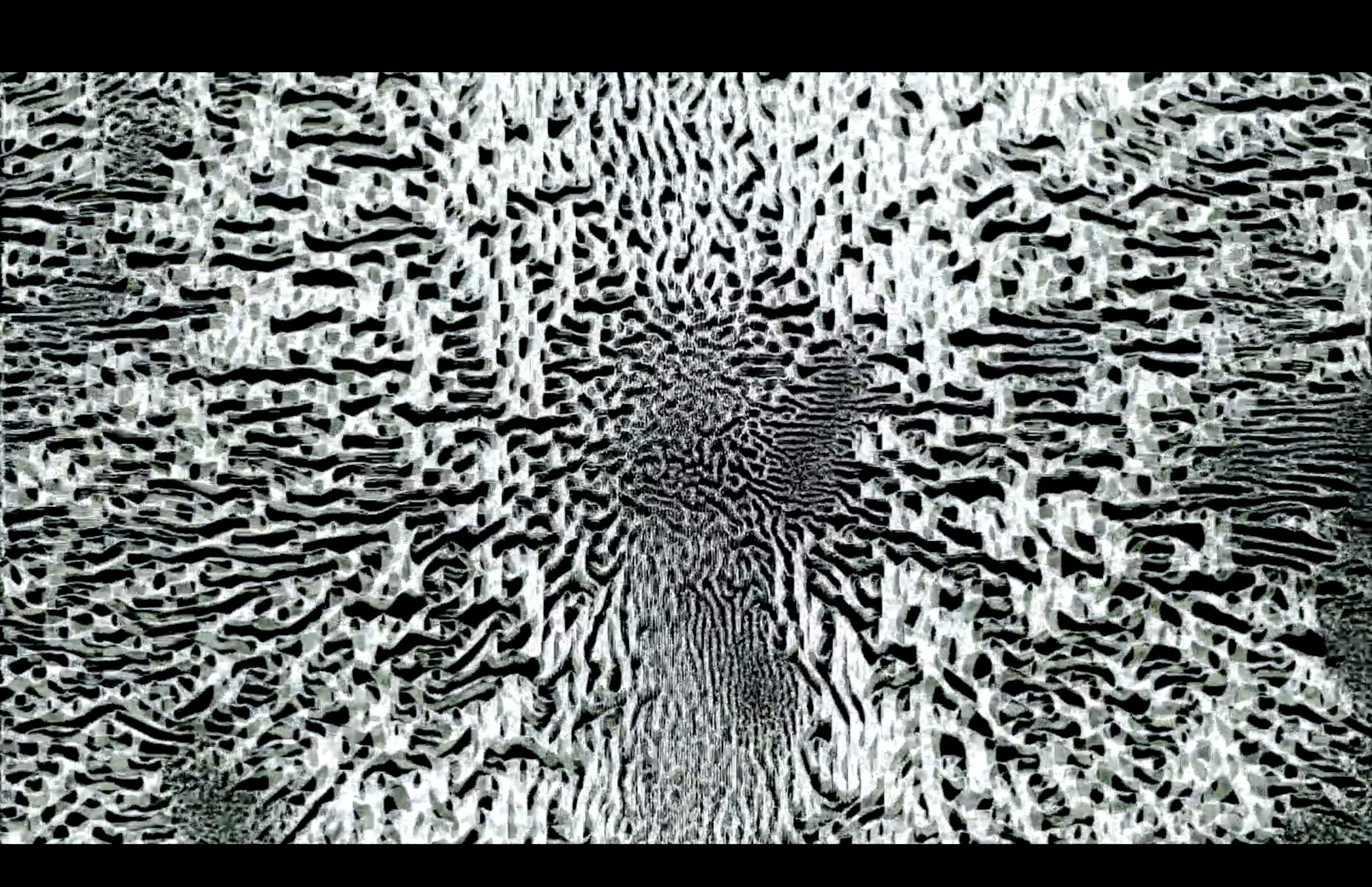 A.Zannier_SpartinaMaritima3DNA2023