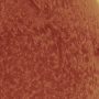 Mathilde Lavenne TOTALITY_Still_1