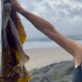 Jaanika Peerna All that is Kelp Melts into Ice