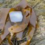 Jaanika Peerna All that is Kelp Melts into Ice.2
