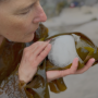 Jaanika Peerna All that is Kelp Melts into Ice.3