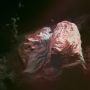 Gadalova_Decay_2