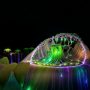 P2_06_Citron-Lunardi_Kingdom-Plantae